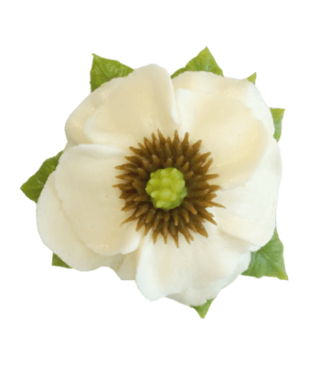 wp-flower-8.png